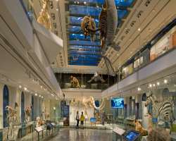 The renowned museum has made its name in the list of most considerable places amid Los Angeles